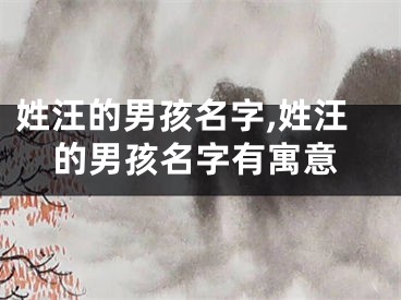 姓汪的男孩名字,姓汪的男孩名字有寓意