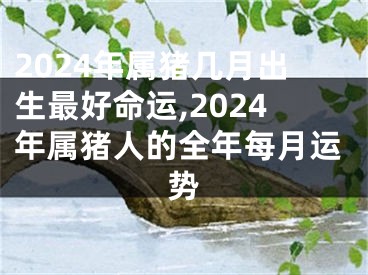 2024年属猪几月出生最好命运,2024年属猪人的全年每月运势