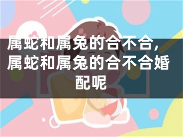 属蛇和属兔的合不合,属蛇和属兔的合不合婚配呢