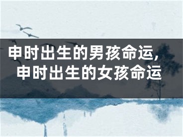 申时出生的男孩命运,申时出生的女孩命运