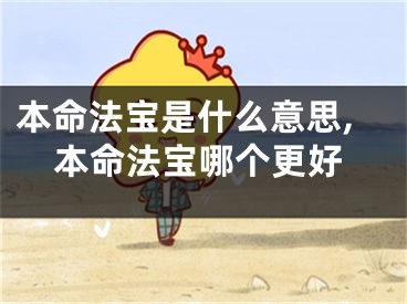本命法宝是什么意思,本命法宝哪个更好