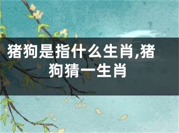 猪狗是指什么生肖,猪狗猜一生肖