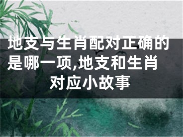 地支与生肖配对正确的是哪一项,地支和生肖对应小故事