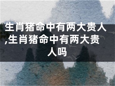 生肖猪命中有两大贵人,生肖猪命中有两大贵人吗