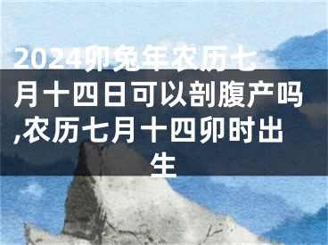 2024卯兔年农历七月十四日可以剖腹产吗,农历七月十四卯时出生