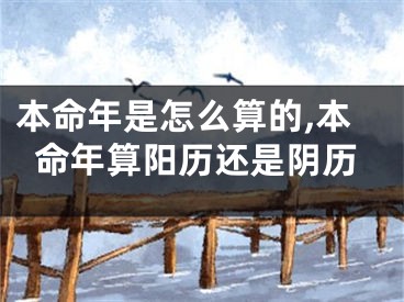 本命年是怎么算的,本命年算阳历还是阴历