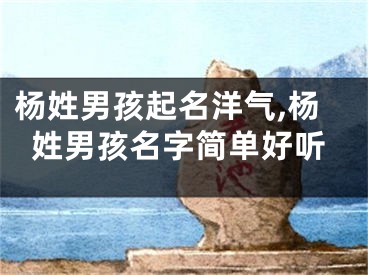 杨姓男孩起名洋气,杨姓男孩名字简单好听