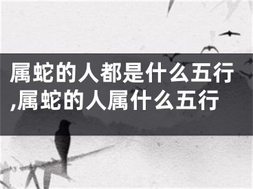 属蛇的人都是什么五行,属蛇的人属什么五行