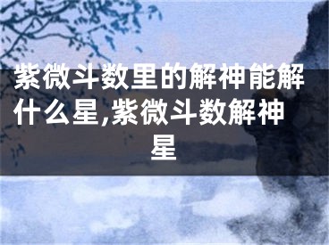紫微斗数里的解神能解什么星,紫微斗数解神星