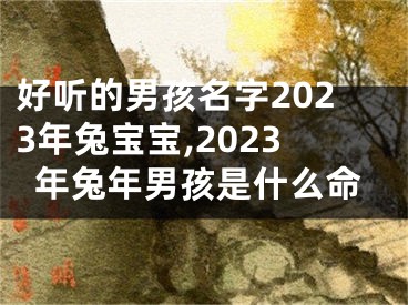 好听的男孩名字2023年兔宝宝,2023年兔年男孩是什么命