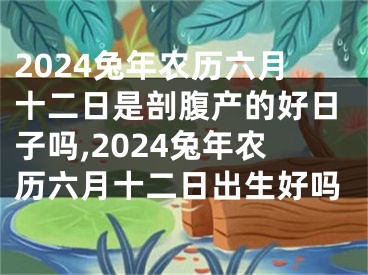 2024兔年农历六月十二日是剖腹产的好日子吗,2024兔年农历六月十二日出生好吗
