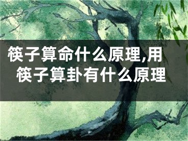 筷子算命什么原理,用筷子算卦有什么原理
