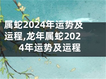 属蛇2024年运势及运程,龙年属蛇2024年运势及运程