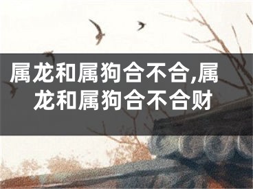 属龙和属狗合不合,属龙和属狗合不合财