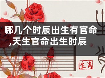哪几个时辰出生有官命,天生官命出生时辰
