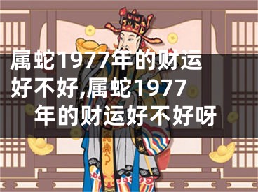 属蛇1977年的财运好不好,属蛇1977年的财运好不好呀
