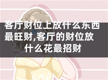 客厅财位上放什么东西最旺财,客厅的财位放什么花最招财