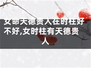 女命天德贵人在时柱好不好,女时柱有天德贵人