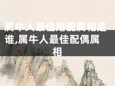 属牛人最佳婚配属相是谁,属牛人最佳配偶属相