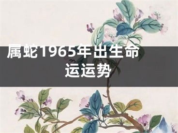 属蛇1965年出生命运运势