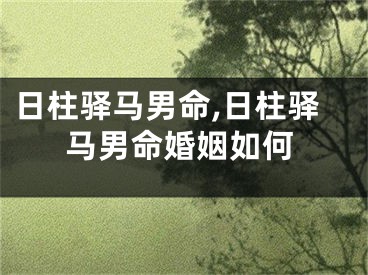 日柱驿马男命,日柱驿马男命婚姻如何