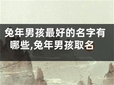 兔年男孩最好的名字有哪些,兔年男孩取名