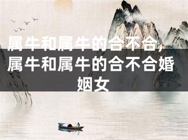 属牛和属牛的合不合,属牛和属牛的合不合婚姻女