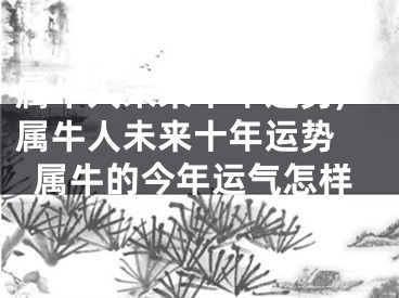 属牛人未来十年运势,属牛人未来十年运势 属牛的今年运气怎样