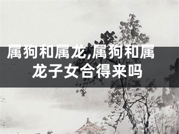属狗和属龙,属狗和属龙子女合得来吗