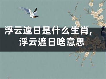浮云遮日是什么生肖,浮云遮日啥意思