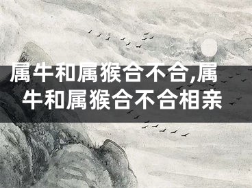 属牛和属猴合不合,属牛和属猴合不合相亲