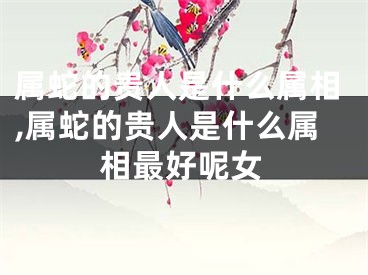 属蛇的贵人是什么属相,属蛇的贵人是什么属相最好呢女