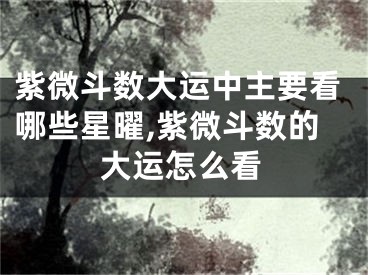 紫微斗数大运中主要看哪些星曜,紫微斗数的大运怎么看