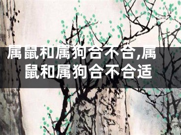 属鼠和属狗合不合,属鼠和属狗合不合适