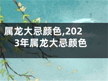 属龙大忌颜色,2023年属龙大忌颜色