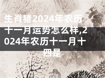生肖猪2024年农历十一月运势怎么样,2024年农历十一月十四是