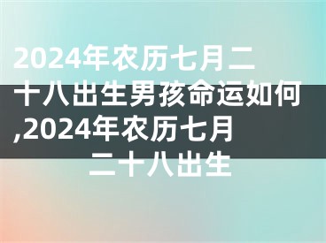 2024年农历七月二十八出生男孩命运如何,2024年农历七月二十八出生