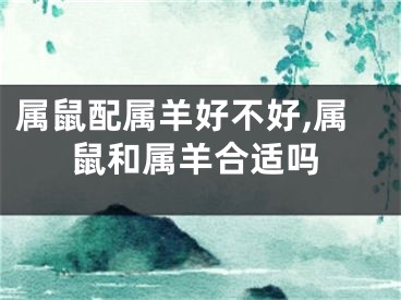 属鼠配属羊好不好,属鼠和属羊合适吗