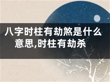 八字时柱有劫煞是什么意思,时柱有劫杀