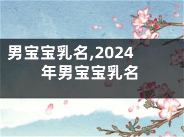 男宝宝乳名,2024年男宝宝乳名