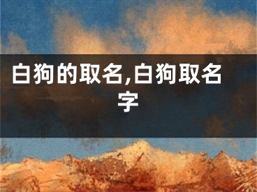 白狗的取名,白狗取名字