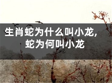 生肖蛇为什么叫小龙,蛇为何叫小龙
