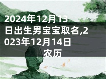 2024年12月13日出生男宝宝取名,2023年12月14日农历