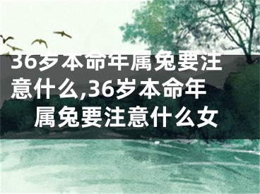 36岁本命年属兔要注意什么,36岁本命年属兔要注意什么女