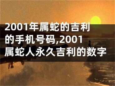 2001年属蛇的吉利的手机号码,2001属蛇人永久吉利的数字