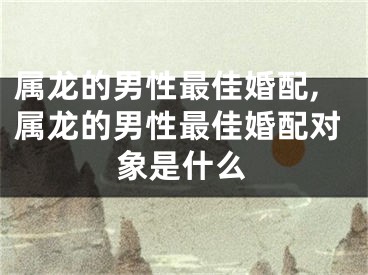 属龙的男性最佳婚配,属龙的男性最佳婚配对象是什么