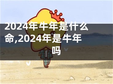 2024年牛年是什么命,2024年是牛年吗