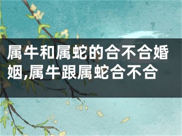 属牛和属蛇的合不合婚姻,属牛跟属蛇合不合