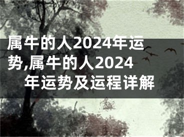 属牛的人2024年运势,属牛的人2024年运势及运程详解