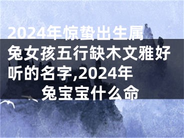 2024年惊蛰出生属兔女孩五行缺木文雅好听的名字,2024年兔宝宝什么命